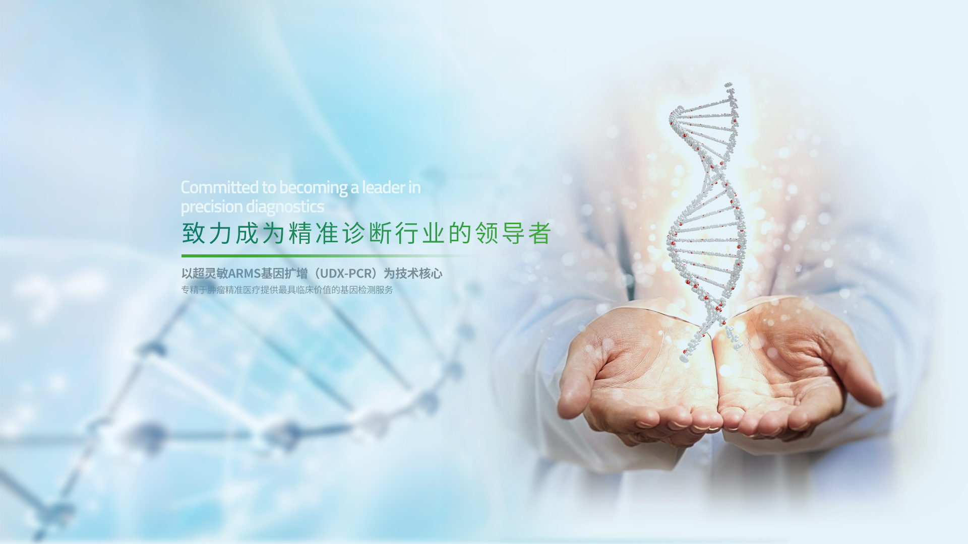 威斯尼斯wns888入口(中国游)官方网站